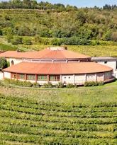 Imagem ilustrativa da imagem Vinícolas familiares italianas preservam essência do vinho
