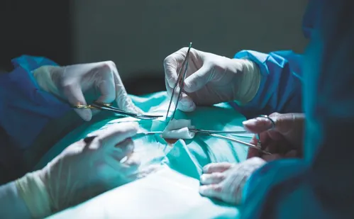 
          Imagem ilustrativa da imagem 11 mil pessoas fizeram cirurgia de Roberto Carlos no Espírito Santo
          