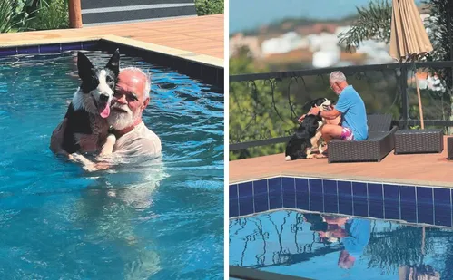 
          Imagem ilustrativa da imagem Cachorro ajuda a salvar o tutor durante infarto
          