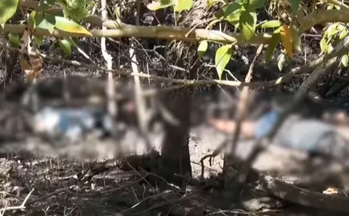 
          Imagem ilustrativa da imagem Casal é encontrado morto em área de manguezal em Cariacica
          