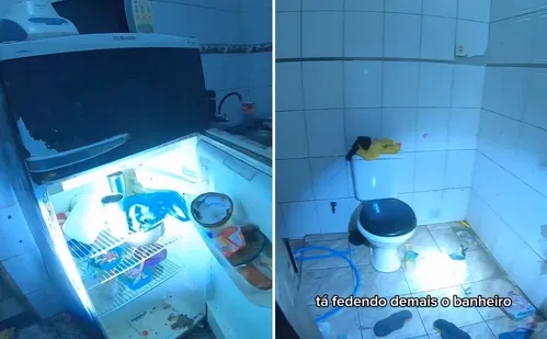 
          Imagem ilustrativa da imagem Crianças são resgatadas de casa usada para tráfico de drogas em Vila Velha
          