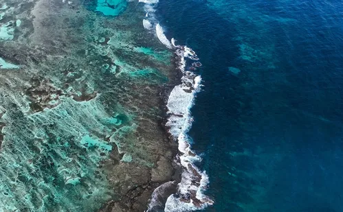
          Imagem ilustrativa da imagem Dia mais quente da história dos oceanos é registrado com El Niño recorde
          
