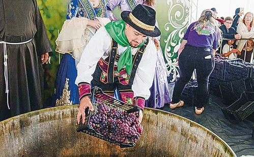
          Imagem ilustrativa da imagem Festa do Vinho e da Uva em Santa Teresa vai ter shows e suco de graça
          
