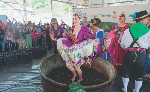 
          Imagem ilustrativa da imagem Festivais de Norte a Sul do ES com música, dança e gastronomia
          