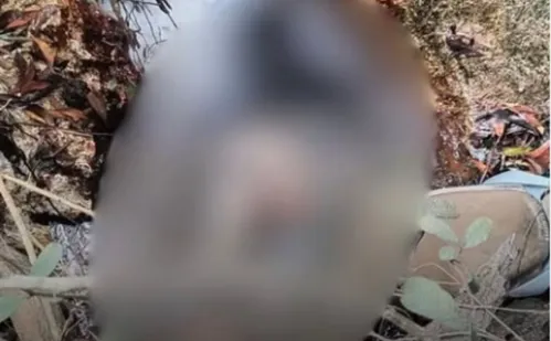 
          Imagem ilustrativa da imagem Homem é encontrado morto dentro de córrego em Jaguaré
          