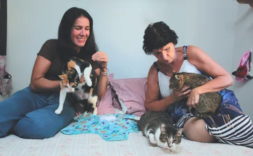
          Imagem ilustrativa da imagem Hospital veterinário público no ES vai ter até dermatologista
          