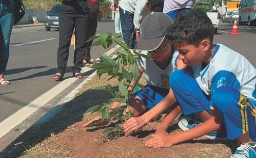 
          Imagem ilustrativa da imagem Mais 100 árvores são plantadas nas ruas de Guarapari para enfrentar o calor
          