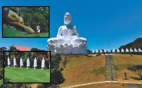 
          Imagem ilustrativa da imagem Mosteiro Zen e Grande Buda são atrações de roteiro turístico em Ibiraçu
          
