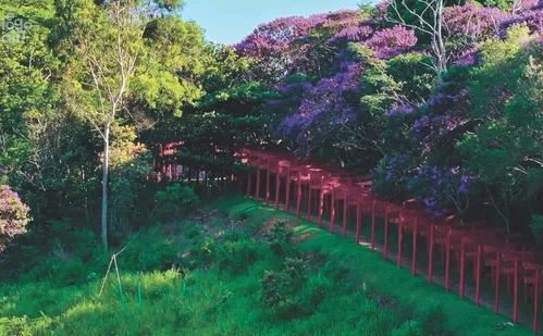 
          Imagem ilustrativa da imagem Mosteiro Zen e Grande Buda são atrações de roteiro turístico em Ibiraçu
          