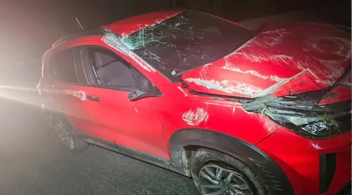
          Imagem ilustrativa da imagem Motociclista morre atropelado ao tentar ajudar vítimas em acidente na BR-232
          
