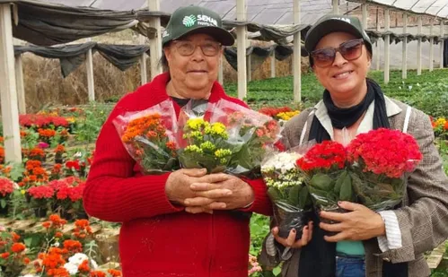 
          Imagem ilustrativa da imagem Muniz Freire se prepara para virar a “cidade das flores”
          
