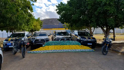
          Imagem ilustrativa da imagem PRF apreende 450 kg de cocaína e pasta base em Salgueiro
          
