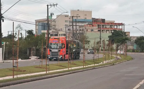 
          Imagem ilustrativa da imagem Serra terá mais 10 mil árvores nas ruas para enfrentar o calor
          