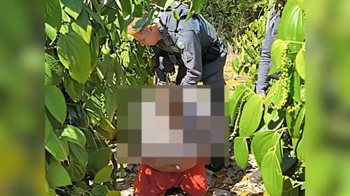 
          Imagem ilustrativa da imagem Suspeito de feminicídio em Linhares é preso em Fundão pela polícia
          