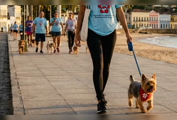 Imagem ilustrativa da imagem Caminhada PET em Olinda amplia vagas e arrecada ração