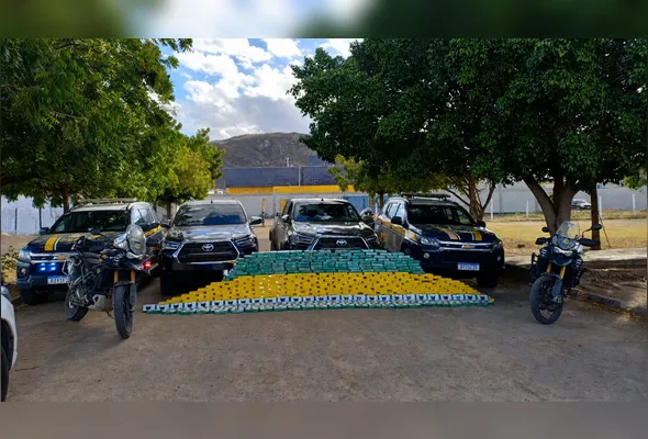 Imagem ilustrativa da imagem PRF apreende 450 kg de cocaína e pasta base em Salgueiro