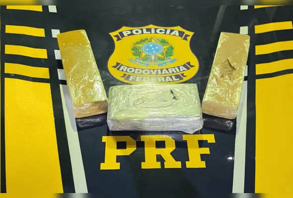 Imagem ilustrativa da imagem PRF apreende cocaína e "supermaconha" em ônibus na BR-232 em Serra Talhada