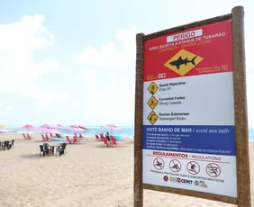 Imagem ilustrativa da imagem Abertura do verão: comitê de monitoramento de tubarões reforça alerta nas praias