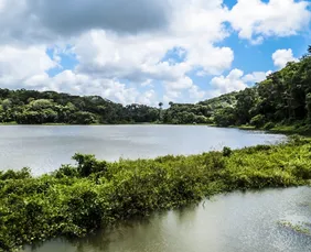 Imagem ilustrativa da imagem Compesa suspende água em 11 bairros de Jaboatão e Cabo neste sábado (17)
