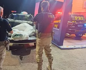 Imagem ilustrativa da imagem Motorista que seguia pela BR - 232 é preso com 31 kg de maconha em fardos de ração