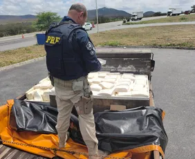 Imagem ilustrativa da imagem PRF apreende na BR-232, 600 kg de queijo de coalho transportado sem refrigeração