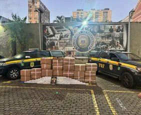 Imagem ilustrativa da imagem PRF e Polícia Civil apreendem 870 kg de maconha na BR-101 em Igarassu