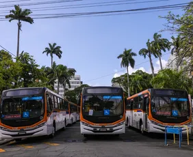 Imagem ilustrativa da imagem Pernambuco entrega 100 novos ônibus climatizados na Região Metropolitana do Recife