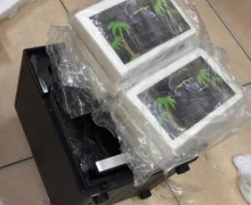 Imagem ilustrativa da imagem Polícia apreende cerca de 7 kg de cocaína em encomenda que seguia para o Sertão