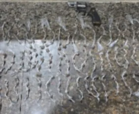 Imagem ilustrativa da imagem Três adolescentes são apreendidos com arma e drogas em Goiana