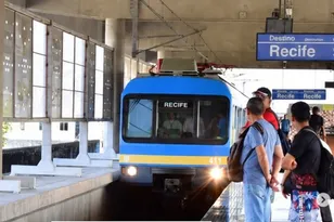Imagem ilustrativa da imagem Árvore derruba rede elétrica e paralisa Linha Centro do Metrô