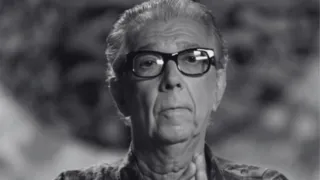 Imagem ilustrativa da imagem Morre aos 89 anos Jomard Muniz de Brito, ícone da cultura pernambucana
