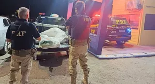 Imagem ilustrativa da imagem Motorista que seguia pela BR - 232 é preso com 31 kg de maconha em fardos de ração