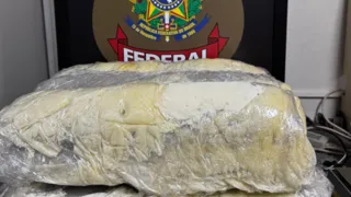 Imagem ilustrativa da imagem PF prende mulher no Aeroporto do Recife com 33 kg de skank