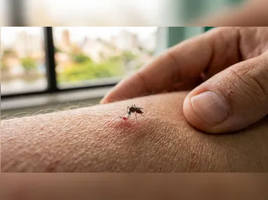 Imagem ilustrativa da imagem Pernambuco tem sexta morte por dengue em 2026