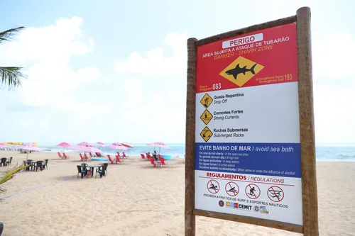 
          Imagem ilustrativa da imagem Abertura do verão: comitê de monitoramento de tubarões reforça alerta nas praias
          