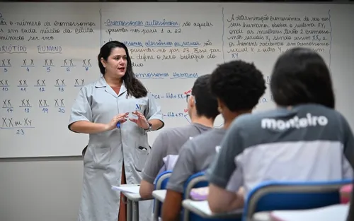 
          Imagem ilustrativa da imagem Alunos criativos, autônomos e capazes de tomar decisões
          