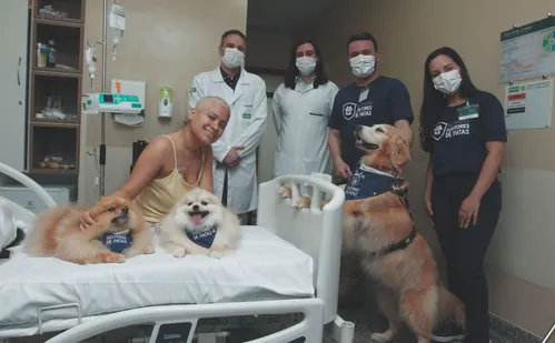
          Imagem ilustrativa da imagem Amor de quatro patas ajuda na recuperação de pacientes em Vitória
          