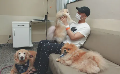 
          Imagem ilustrativa da imagem Amor de quatro patas ajuda na recuperação de pacientes em Vitória
          