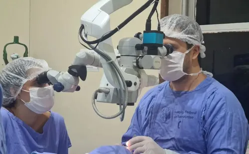 
          Imagem ilustrativa da imagem Brasil tem quase 38 mil pessoas à espera de transplante de córnea
          