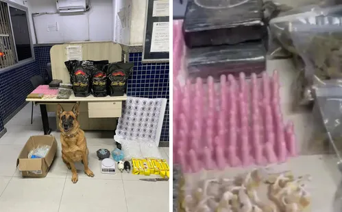 
          Imagem ilustrativa da imagem Cão de faro da PM encontra drogas e munições em imóvel em Vila Velha
          