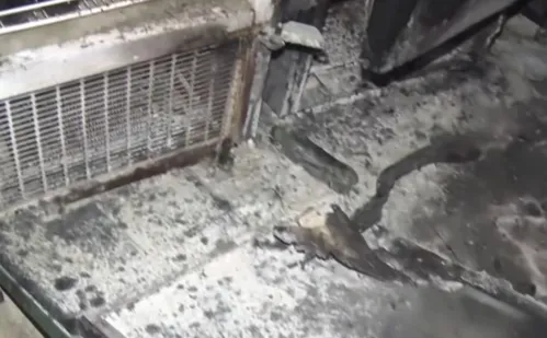 
          Imagem ilustrativa da imagem Churrascaria pega fogo após freezer "explodir" em Vitória
          