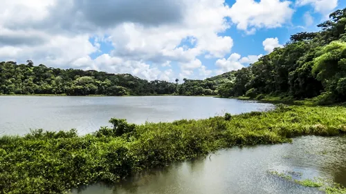 
          Imagem ilustrativa da imagem Compesa suspende água em 11 bairros de Jaboatão e Cabo neste sábado (17)
          