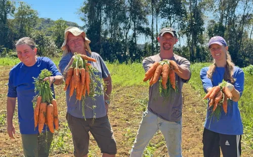 
          Imagem ilustrativa da imagem Cooperativas agropecuárias reúnem 50 mil capixabas e movimentam R$ 6,5 bi
          
