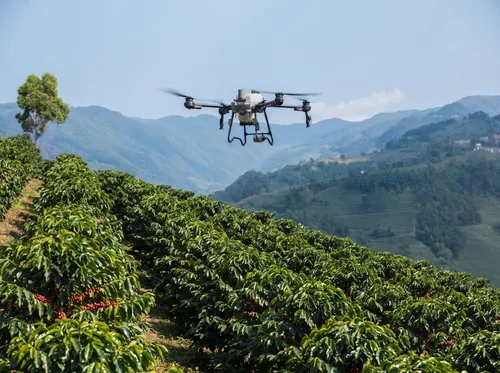 
          Imagem ilustrativa da imagem Drones agrícolas movimentam bilhões e criam nova profissão no campo
          