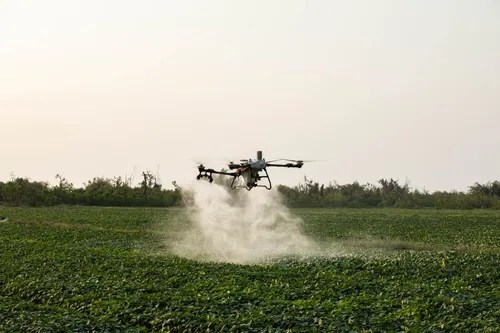 
          Imagem ilustrativa da imagem Drones agrícolas movimentam bilhões e criam nova profissão no campo
          