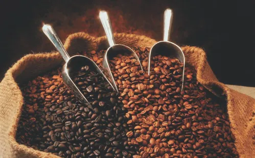 
          Imagem ilustrativa da imagem ES deve produzir 1 em cada 4 sacas de café da safra recorde do Brasil
          
