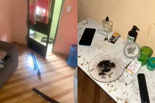 
          Imagem ilustrativa da imagem Filho agride mãe e ameaça cunhada após usar drogas e discutir com familiares
          