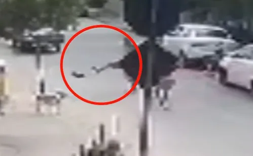 
          Imagem ilustrativa da imagem Homem chuta e mata cachorro da raça Pinscher em Aracruz; veja vídeo
          