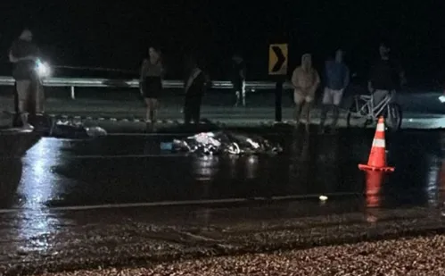 
          Imagem ilustrativa da imagem Homem morre após ser atropelado por microonibus na BR-101 em Anchieta
          