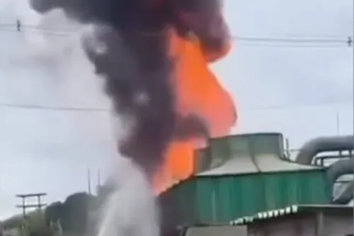 
          Imagem ilustrativa da imagem Incêndio atinge área de usina em Vitória de Santo Antão
          